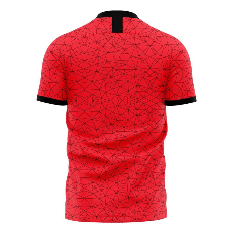 Albania 2020-2021 Home Concept Football Kit (Libero) - Adult Long Sleeve