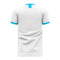 Argentina 2020-2021 Home Concept Football Kit (Libero) - Kids (Long Sleeve)