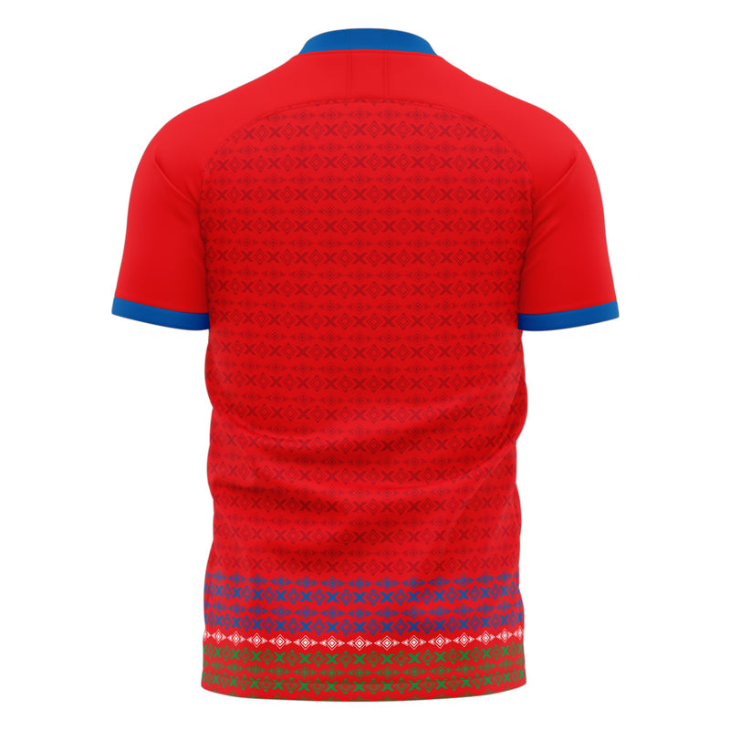 Gambia 2022-2023 Home Concept Football Kit (Libero)